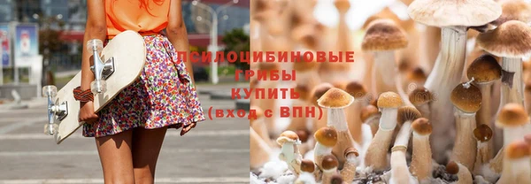 apvp Баксан