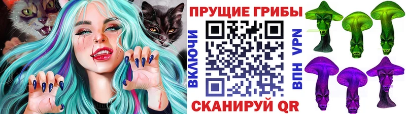 Галлюциногенные грибы ЛСД  Опочка 